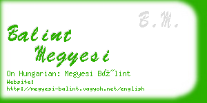 balint megyesi business card